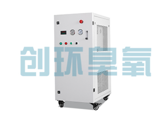 齐齐哈尔石斑鱼养殖水质调控完整指南：臭氧发生器配置与操作步骤