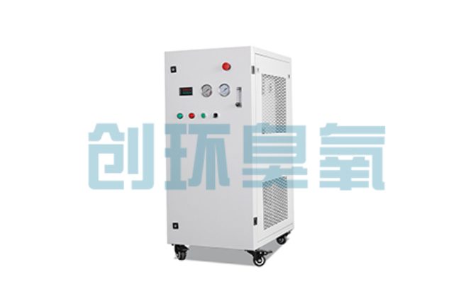 齐齐哈尔比传统换水更高效？臭氧发生器在石斑鱼养殖中的水质净化原理解析